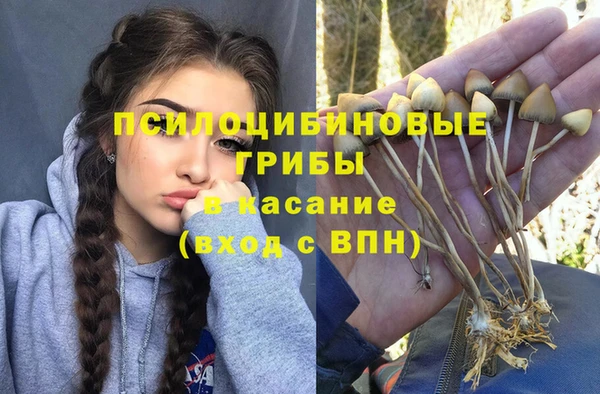 крисы Володарск