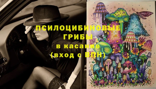 крисы Володарск