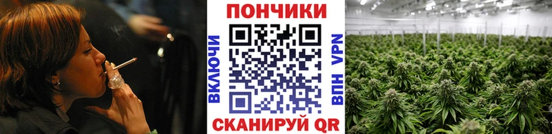 МАРИХУАНА план  Купить  Белореченск 